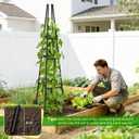 Garden Obelisk Trellis for Climbing Plants Outdoor, 63 Inch Height Adjustable Gardening Trellis, Steel Plastic Coated Plant Support for Indoor & Outdoor Multiple Climbing Plants(1PCS)