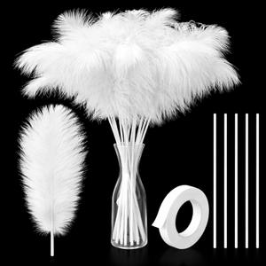 80 Pcs Ostrich Feathers Bulk for Vase Large Natural Ostrich Feathers 8-12inch with 80 Pcs Iron Wire and 1 Tape for Vase Flower Arrangement Wedding Party Centerpieces(White)
