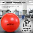 Theraband 22 inch Exercise and Stability Ball