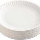 GREEN LABEL 9" WHITE PAPER PLATES 10/100CT