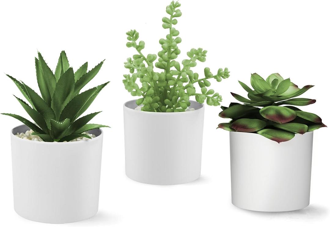 Hopewood Succulent Plants Artificial in White Pots Small Faux Potted Succulents Fake Plants in Vase Set of 3