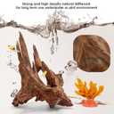 Jorewood Natural Aquarium Driftwood for Fish Tanks & Reptile Terrariums Safe Fish Tank Decorations, Unique Twisted Branches 2-Piece 10-14 Inch Low Tannin, Easy to Sink