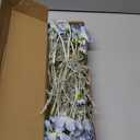 6PCS Daisy Flowers Artificial 24'' Blue Flowers Artificial Wildflowers Silk Flowers for Wedding Party Kitchens Home Decoration(Light Blue)