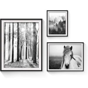 Forest Sunrise Pictures Framed Prints - Peaceful Landscape Scene and Elegant White Horse Wall Art Sets for Living Room, Bedroom, Office, Bathroom 3 Panels