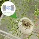 Jumping Spider Accessories Set, 6 Pcs Spider Climing Web with 2 Platforms and 8 Magnets, Small Reptile Spiders Enclosure Decoration Accessories for Climbing, Feeding, Hiding