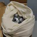 Sumbababy Large Teepee Tent for Kids: with Star Lights & Flags - Tent for Kids Indoor Kids Teepee for Boys & Girls - Playhouse Inside Canopy Bed for Playroom Gift Toys (Cream)