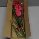 Fuchsia Gladiolus Artificial Flowers 3 Pcs Silk Flowers with Stems Fake Tropical Flower for Vase Spring Summer Indoor Decoration Faux Florals Stems Fillers for Table Centerpieces, Wedding, Home Decor