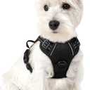 rabbitgoo Dog Harness No Pull with 2 Leash Clips, Adjustable Soft Padded, Reflective Oxford No Choke Pet Vest with Easy Control Handle for Puppy, Black, XS
