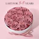 FIACO 12 Preserved Roses in Box Forever Flowers for Delivery Christmas Anniversary Birthday Gifts for Women Fresh Eternal Rose Valentines Day Gifts for Her-Dusty Rose