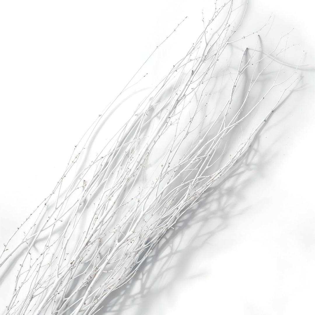 Branches for Vase, 3'4' Natural Birch Tree Branches for Decoration, Bundle of 10 Tall Decorative Sticks for Vases, Rustic Wood Branches for Crafts, Weddings, Seasonal & Home Dcor - White