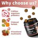 Turkey Tail Mushroom for Dogs, Dog Allergy Chews, Probiotics for Dog Allergy Relief - Itchy Skin Allergy Paw Relief - Seasonal Allergies & Immune Gut Health & Joint, Chicken Flavor - 90 Count