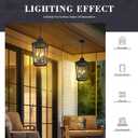 zeyu 23.5'' Outdoor Pendant Light, 3-Light Large Outdoor Hanging Light Fixture for House Garden, Die-Cast Aluminum in Seeded Glass, Black Finish, ZW105H-L BK