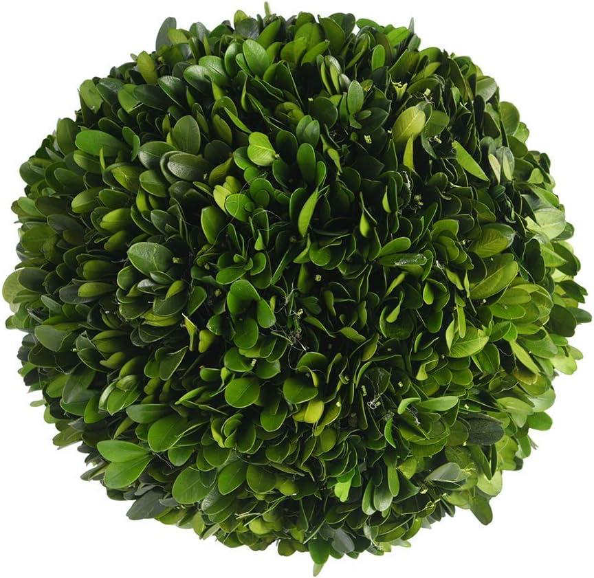 Real Boxwood Decorative Ball Large 10 inches Great for Wedding Home Decoration, Vase Bowl Filler Realistic Full Green Plant, Indoor Decor(Boxwood)