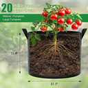 25 Gallon Plant Grow Bags 4 Pack 300G Fabric Pots with Handles | Breathable Drainage Healthy Root Growth Planters for Tomatoes, Potatoes & Large Vegetables Indoor Outdoor Reusable BPA-Free