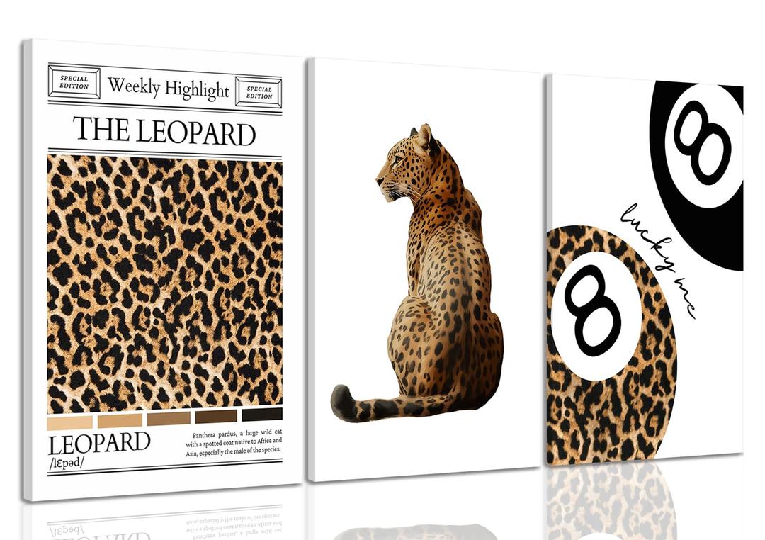 YUFEIART 3 Piece Funky Cheetah Canvas Wall Art Set of 3 12x16