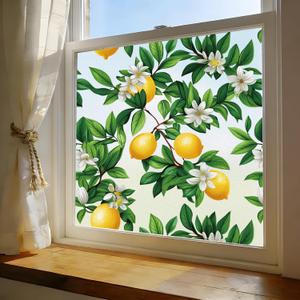 Window Film, Frosted Privacy, One Way Tint, UV Block, Heat Insulation, Anti-Glare, Static Cling, Renter Friendly for Home Bathroom Door 
35x78.5