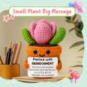 Funny Coworker Leaving Gift  Crochet Succulent Plush with Humor Message  Farewell Gift for Women Who Are Quitting, Burned Out, or Betrayed, Supportive Decor for Divorce, Heartbreak,Goodbye, Breakup