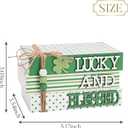 Valery Madelyn St Patrick's Day Decorations, St Patrick's Day Wooden Book Decor, Shamrock Decorations for Tiered Tray Shelf Coffee Table Side Table Home Office with Tassel and Beads, 5 inch (Medium)