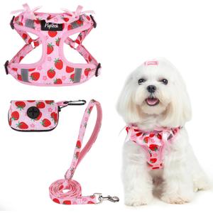 PUPTECK Dog Harness and Leash Set Small Sized, Step in No Pull Adjustable Puppy Cat Harness Reflective Pet Vest (XS (9-13lbs, Chest 14"-16"), #2 Pink(Strawberry Print))