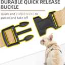 PUPTECK Soft Mesh Dog Harness Small Sized and Leash Set Pet Puppy Cat Comfort Padded Vest No Pull Harnesses, Beige, S