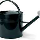 LONGRUN 2.5 Gallon Dark Green Metal Watering Can Primary Colors Nozzle for Plants and Garden with Removable Spout, Made of Galvanized Iron
