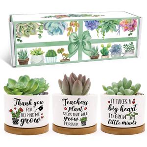 Tuitessine Teachers Gift for Women Men Teacher Appreciation Succulent Planters Pots Back to School Best Teacher Birthday Retirement Gifts Mini Ceramic Planter Pot with Gift Box (NO Plants)