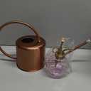 Remiawy Watering Can Indoor Outdoor Stainless Steel Watering Cans for House Plants Long Spout Water Can for Succulent Bonsai Garden Flower(40oz/1300ml)