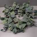 Eucalyptus Wreath for Front Door, COLORSPEC 24 Inch Eucalyptus Wreath with Olive Leaves and Berries All Year Round, Handmade Green Spring Summer Wreaths for Front Door Indoor Outdoor Wedding Holiday