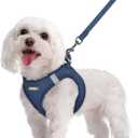 rabbitgoo Dog Harness Small Sized and Leash Set, Step in Soft Light Puppy Vest, Breathable Mesh Pet Harness, Reflective for Safe Outdoor Walking, Navy Blue, M