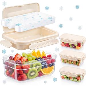 3 Sets Snackle Box with Removable Reusable Ice Pack, Separate Food Containers No Mixing Smells, Clear Cooling Charcuterie Lunch Box Organizer Bulk for Meal Prep, Travel, Beach & Picnic, Outdoor Party