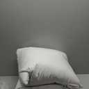 Puredown Feather Down Throw Pillow Inserts 22 x 22 (Pack of 2, White), Big Throw Pillows for Floor, Couch, Bed, Machine Washable