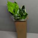 6PCS Artificial Tropical Green Plants  15.75" Fake Hostas Outdoor Artificial Plants, UV Resistant, Faux Green Leaf Stems for Porch, Patio, Balcony, Garden Planter or Indoor Dcor