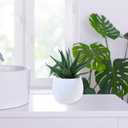 Winlyn Set of 3 Assorted Artificial Succulent Plants in White Concrete Pots Faux Aloe Hops String of Pearls Potted Plants Small Fake Plants for Home Garden Office Desk Counter Shelf Windowsill Decor