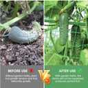 2PCS Cucumber Trellis for Climbing Plants Outdoor, Garden Trellis for Raised Bed Garden,Vegetable Grow Supports with Climbing Net for Tomato Bean Squash, Grape Zucchini (2PCS)