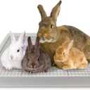 Oncpcare Extra Large Rabbit Litter Box with Grid 22x18in Bunny Litter Tray for Cage XL Potty Training Pan for Adult Rabbit Flemish Giant Rabbits