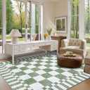 GarveeHome Sage Green Checkered Rug 57 Area Rugs for Living RoomNon-Slip Washable Rug Soft Low-Pile, Modern Farmhouse Geometric Rugs for Bedroom Dining Room