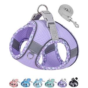Petank Dog Harness for  Dogs No Pull, Puppy Harness and Leash Set, Step in Dog Harness for Walking, Running, Training, Small Dog Vest(Purple, S)