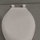 Centoco 1600-001 Elongated Plastic Toilet Seat, Standard Economy Model, White