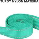 Taglory Dog Leash for Medium Large Dogs, Double-Sided Reflective Leash with Soft Neoprene Padded Handle, 1 inch by 6 ft, Fit Medium Large Breeds 20-150 lbs, Turquoise