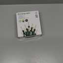 Minetom Clear Christmas String Lights 100 Count 25 Feet Incandescent Bulb Mini Lights for Indoor Xmas Tree Garland Birthday Wedding Party Festival Decoration, Green Wire