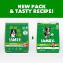 IAMS Proactive Health Adult Minichunks Premium Dry Dog Food, Adult Dog Food Dry Recipe, 30 lb. Bag (EXP 12/17/25)