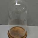Farmlyn Creek Glass Cloche Dome Bell Jar Display Case with Wooden Base for Plants, Collectibles (5.1x10 in)