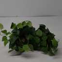 Fake Pothos Hanging Plants  33" Set of 2 Faux Ivy Vines with Pots, Realistic Silk Devils Ivy for Indoor Dcor, Low Maintenance Artificial Greenery for Home or Office (Green)