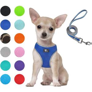 Puppy Harness and Leash Set- XS and Small Dog Harness- Soft Mesh Halter- Adjustable Reflective Teacup Dog Harness- No Pull No Choke (XS, Blue)
