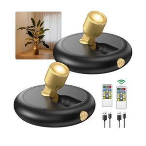 Rechargeable Battery LED Spotlight Indoor: Wireless Mini Art Accent Spot Lights with Timer Remote - Small Dimmable Up light for Plants Display Painting Dartboard Artwork Portrait Closet
