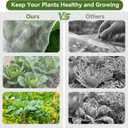 Garden Netting Kit for Raised Beds, 10x30FT Ultra Fine Mesh Netting 6 Sets of 8FT Fiberglass Garden Hoops, Row Cover Insect Netting for Vegetable Plant Fruit Flowers Protection