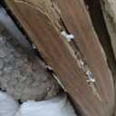 Farmhouse Coffee Table, Ellipse 47 in Wood Modern Center Accent Table, Mid Century Wooden Coffee Tables with Sturdy Base & Rounded Corners for Living Room (Rustic Brown)