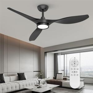 Roomratv Ceiling Fans with Lights, 52 Inch Ceiling Fan with Light and Remote, Black Ceiling Fan, DC Motor, 6 Speed, Quiet Noiseless, 3 CCT, Reversible, Plastic Blades, Indoor for Bedroom Living Room