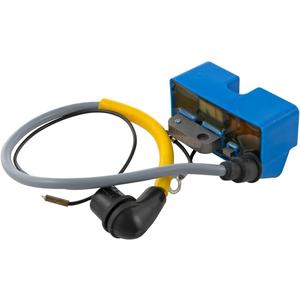 Ignition Coil for 102 100s 028142021 DCS33 DCS340 DCS341 DCS400 DCS401 DCS410
