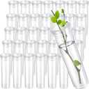 Hushee 50 Pcs 60ml 4.33 Inch Floral Tubes for Milkweed Large Flowers Water Tubes for Milkweed Cuttings Flower Floral Arrangements Butterfly Habitat